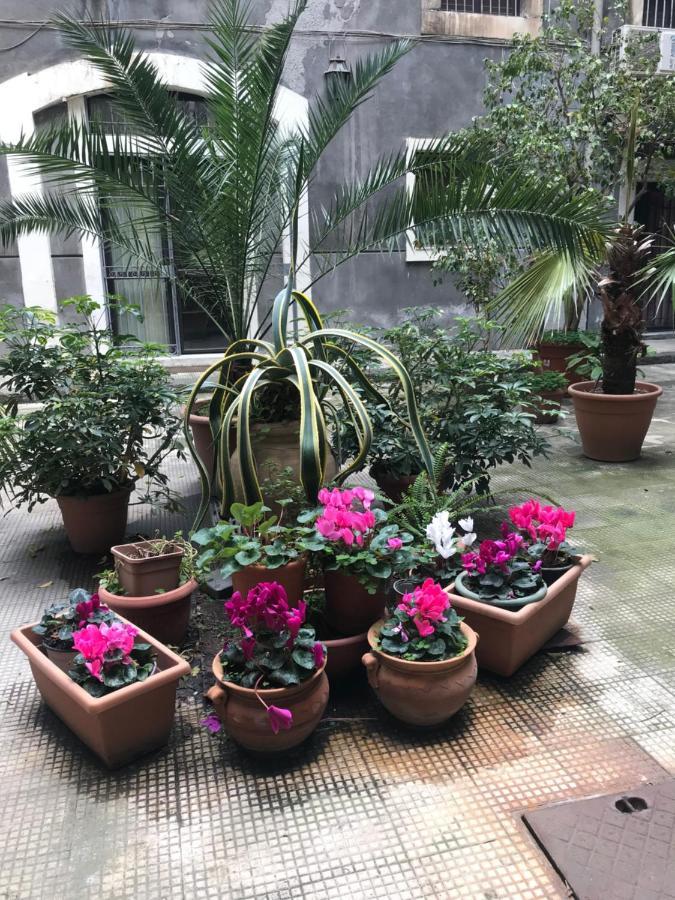 Elegante Appartamento Centro Storico CTA Exterior foto